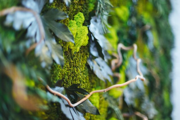Architettura ecosostenibile: lamiere stirate e materiali a basso impatto