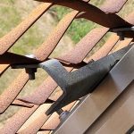 20250717_114823_resized
